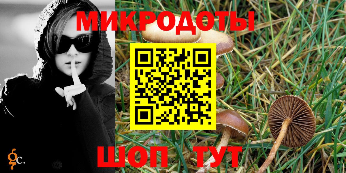 Псилоцибиновые грибы Psilocybine cubensis Усолье-Сибирское