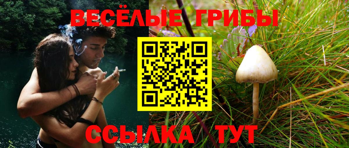 Псилоцибиновые грибы мицелий  Галлюциногенные грибы MAGIC MUSHROOMS  Усолье-Сибирское  наркошоп  Вход с VPN 